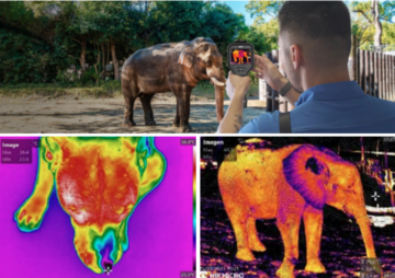 Termografska kamera HIKMICRO M31T